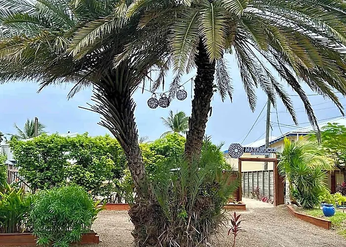 Mata Rocks Hotel San Pedro (Ambergris Caye)